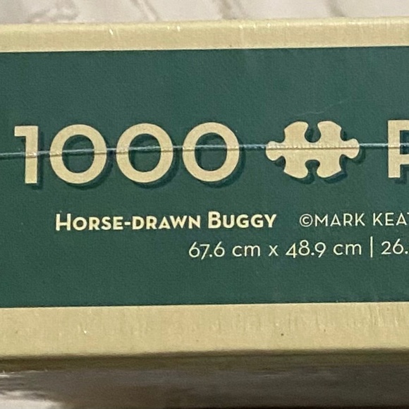 NEW Cobble Hill Horse Drawn Buggy 1,000 Piece Puzzle
Snowy Scene Family Time - Picture 5 of 11